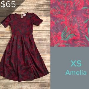 XS Amelia